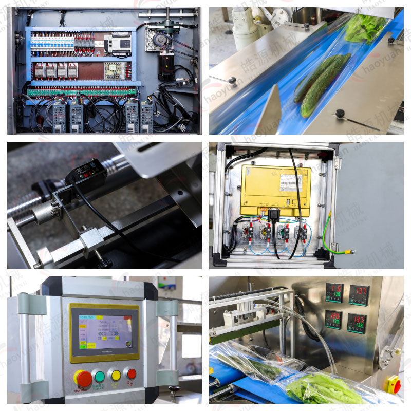 水果包裝機機械細節(jié)